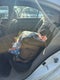 2010 Honda Civic Base