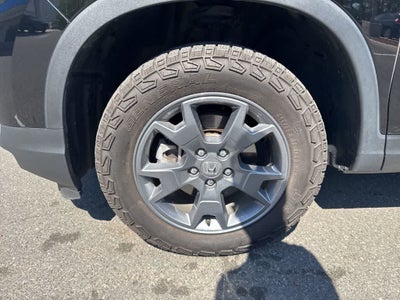 2025 Honda Passport TrailSport