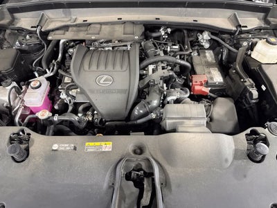 2024 Lexus TX 350 TX 350 Premium