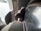 2012 Kia Sorento EX