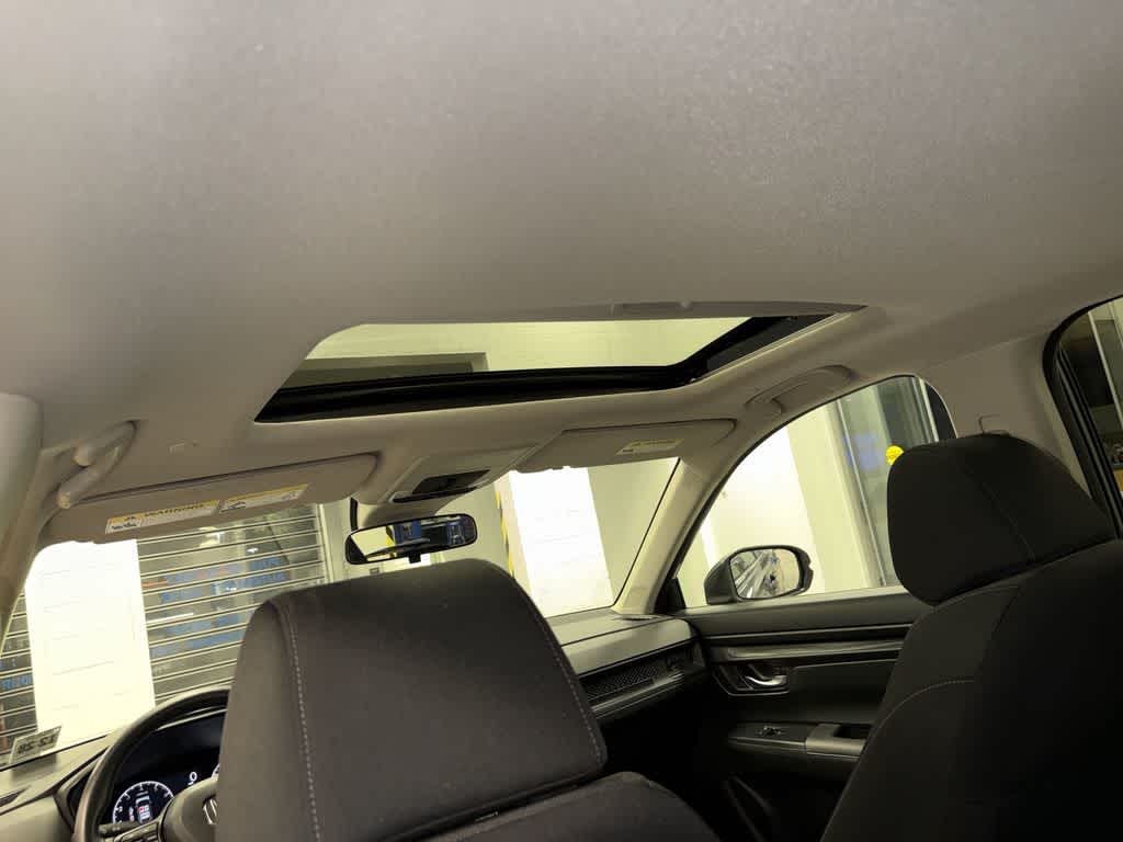 Photo 24