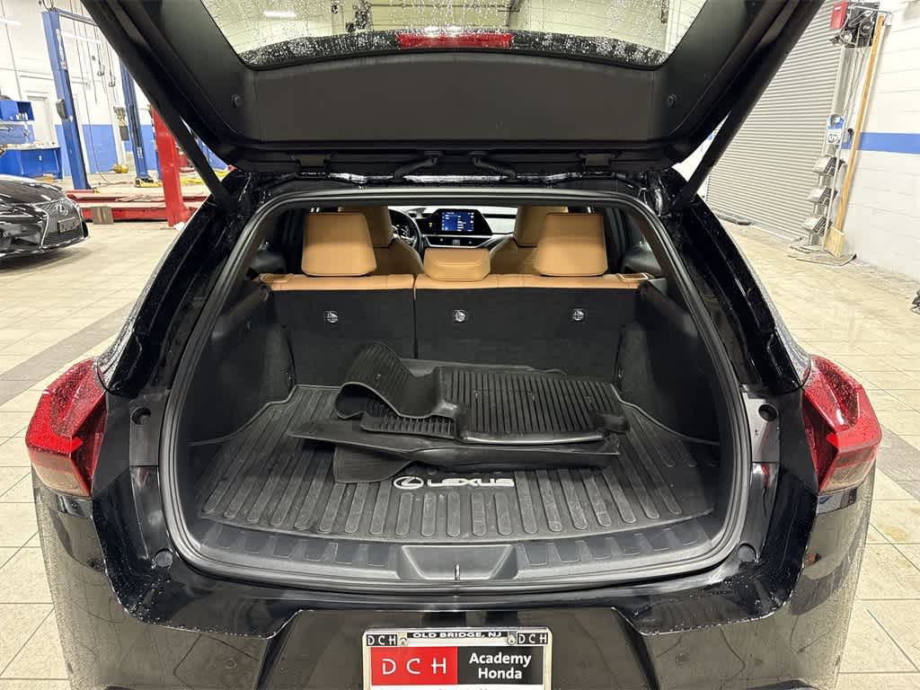 2024 Lexus UX UX 250h Premium