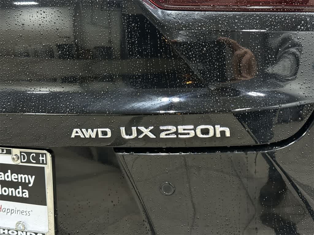 2024 Lexus UX UX 250h Premium