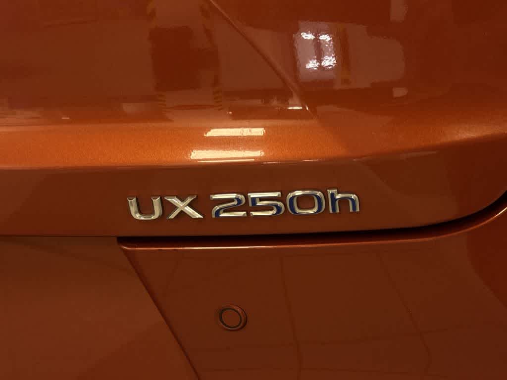 2019 Lexus UX 250h UX 250h