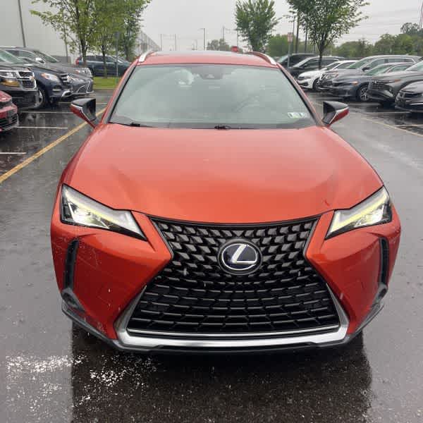2019 Lexus UX 250h UX 250h