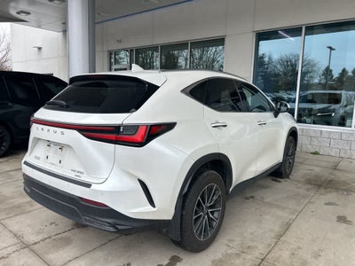 2025 Lexus NX 350 NX 350